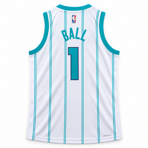 Charlotte Hornets Swingman Association