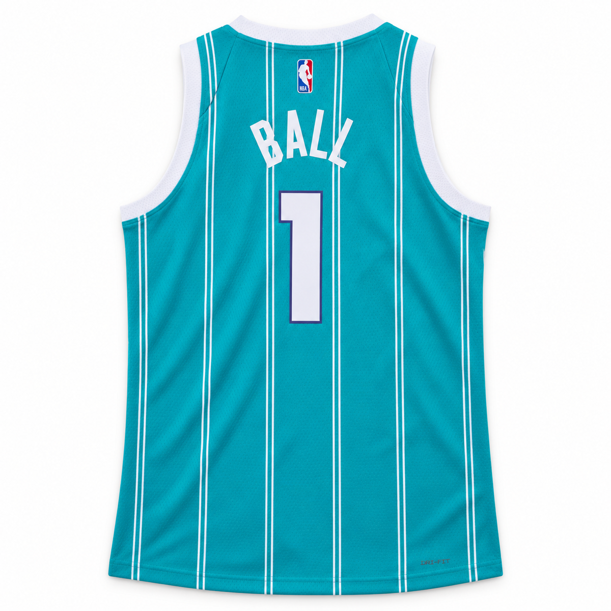 Charlotte Hornets Swingman Icon