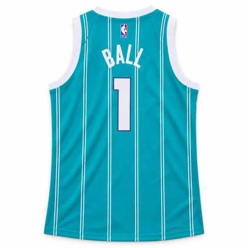 Charlotte Hornets Swingman Icon